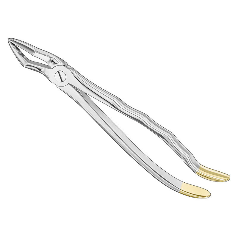 Extracting forceps, anat.