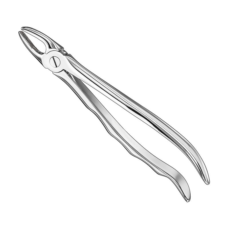 Extracting forceps, anat.