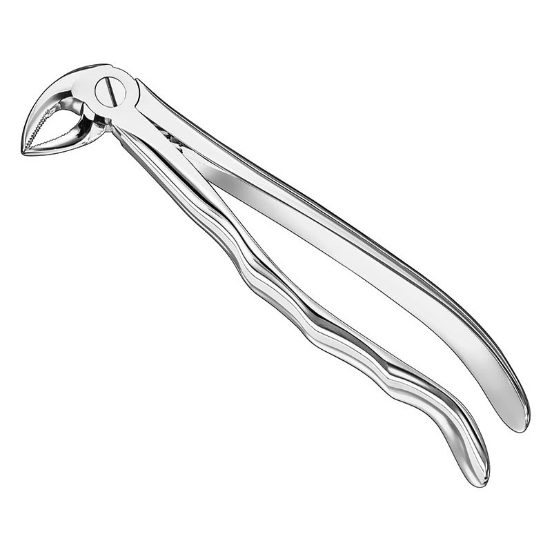 Extracting forceps, anat.