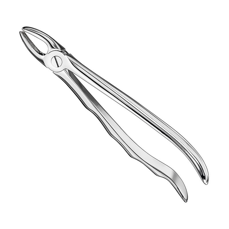 Extracting forceps, anat.