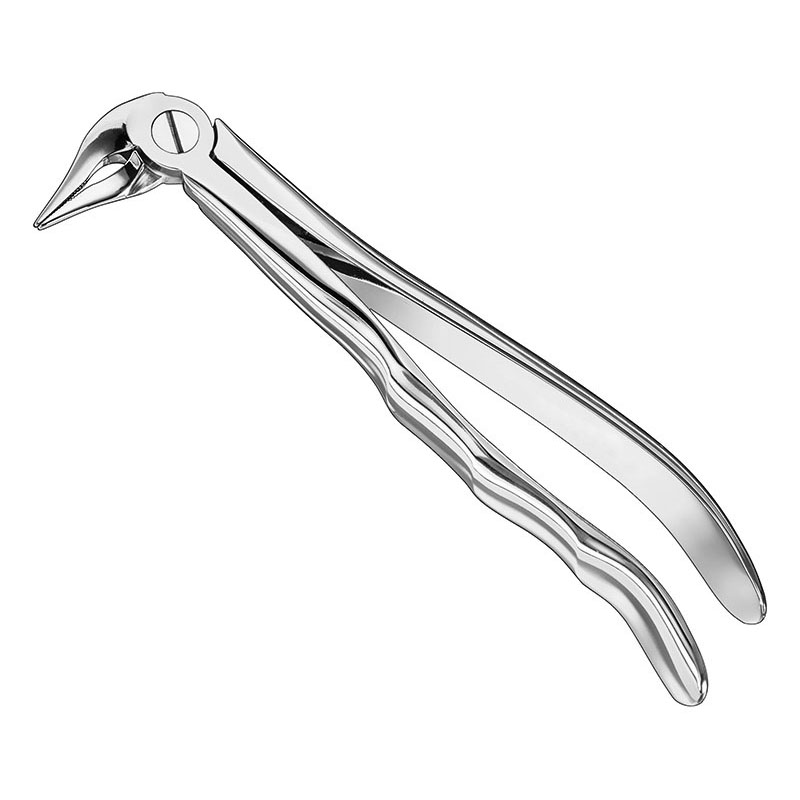 Extracting forceps, anat.